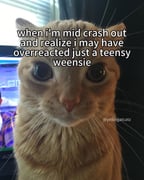 post #14293