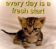 post #12744